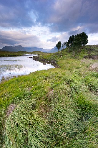 Landschaft